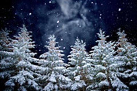 Schiebepuzzle: Nr. 57: Geist der diesjährigen Weihnachtsnacht