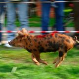 März: Euer Foto des Tages! - Bild 2