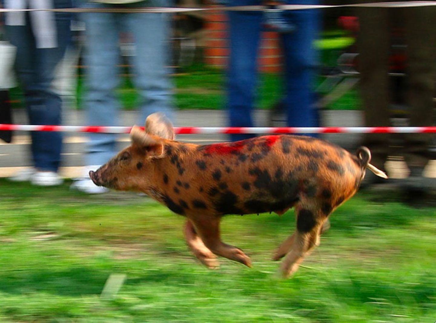 März: Euer Foto des Tages! - Bild 2