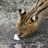 März: Euer Foto des Tages! - Bild 3