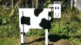 März: Euer Foto des Tages! - Bild 5