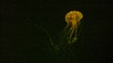 März: Euer Foto des Tages! - Bild 6