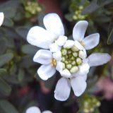 März: Euer Foto des Tages! - Bild 7