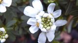 März: Euer Foto des Tages! - Bild 7