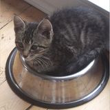 März: Euer Foto des Tages! - Bild 8