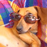 März: Euer Foto des Tages! - Bild 9