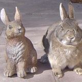 März: Euer Foto des Tages! - Bild 10