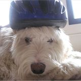 März: Euer Foto des Tages! - Bild 11