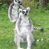 März: Euer Foto des Tages! - Bild 13