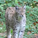 März: Euer Foto des Tages! - Bild 15