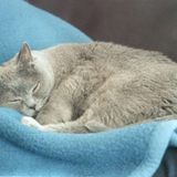 März: Euer Foto des Tages! - Bild 16