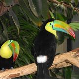 März: Euer Foto des Tages! - Bild 18