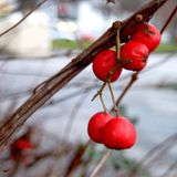 März: Euer Foto des Tages! - Bild 19