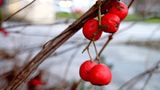 März: Euer Foto des Tages! - Bild 19