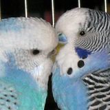 März: Euer Foto des Tages! - Bild 20