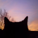 März: Euer Foto des Tages! - Bild 21