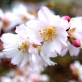 März: Euer Foto des Tages! - Bild 22