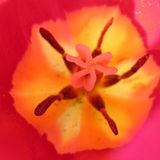 Februar: Euer Foto des Tages! - Bild 2