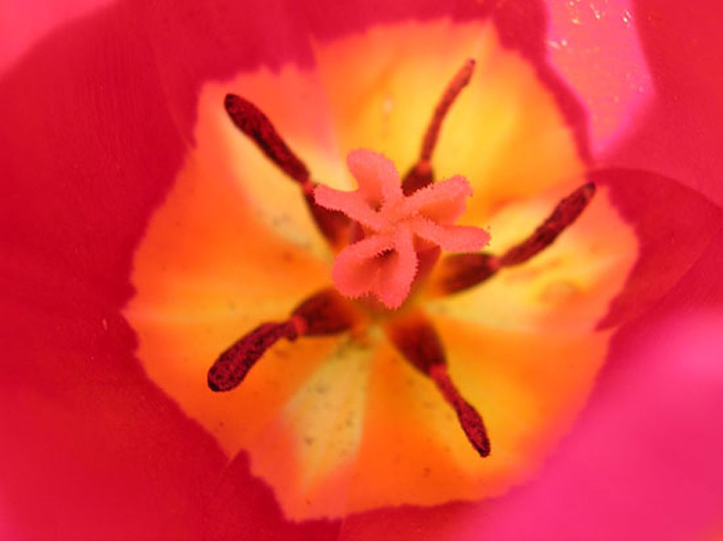 Februar: Euer Foto des Tages! - Bild 2
