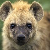 Februar: Euer Foto des Tages! - Bild 3