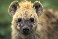 Februar: Euer Foto des Tages! - Bild 3