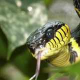 Februar: Euer Foto des Tages! - Bild 4