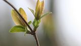 Februar: Euer Foto des Tages! - Bild 5