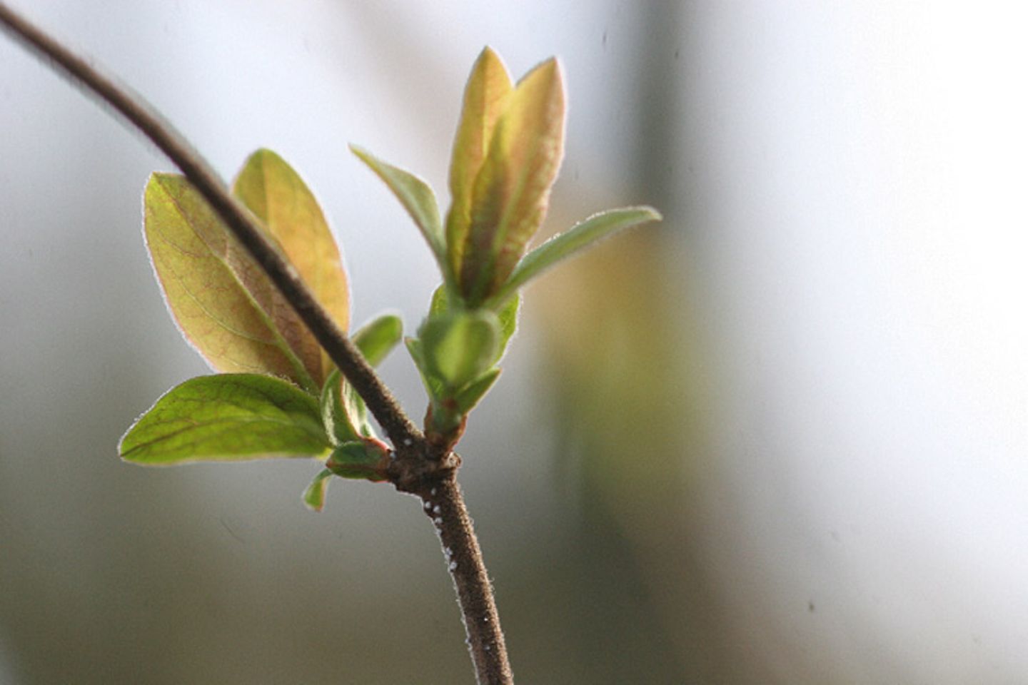 Februar: Euer Foto des Tages! - Bild 5