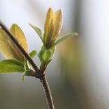 Februar: Euer Foto des Tages! - Bild 5