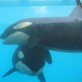 Februar: Euer Foto des Tages! - Bild 7