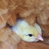 Februar: Euer Foto des Tages! - Bild 10