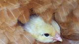 Februar: Euer Foto des Tages! - Bild 10