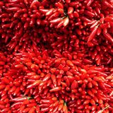 Februar: Euer Foto des Tages! - Bild 11