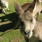 Februar: Euer Foto des Tages! - Bild 12