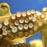 Februar: Euer Foto des Tages! - Bild 13