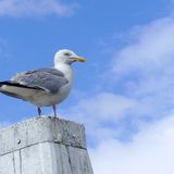 Februar: Euer Foto des Tages! - Bild 14