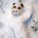 Februar: Euer Foto des Tages! - Bild 15