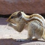 Februar: Euer Foto des Tages! - Bild 18