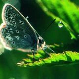 Februar: Euer Foto des Tages! - Bild 20