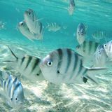 Euer Foto der Woche!