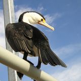 Euer Foto der Woche! - Bild 2