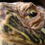 Euer Foto der Woche! - Bild 3