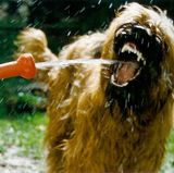 Euer Foto der Woche! - Bild 4