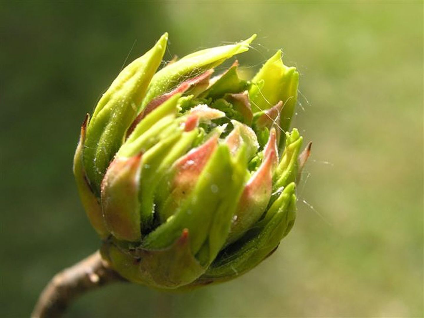 Euer Foto der Woche! - Bild 5