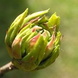 Euer Foto der Woche! - Bild 5