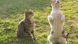 Euer Foto der Woche! - Bild 6