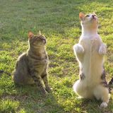 Euer Foto der Woche! - Bild 6