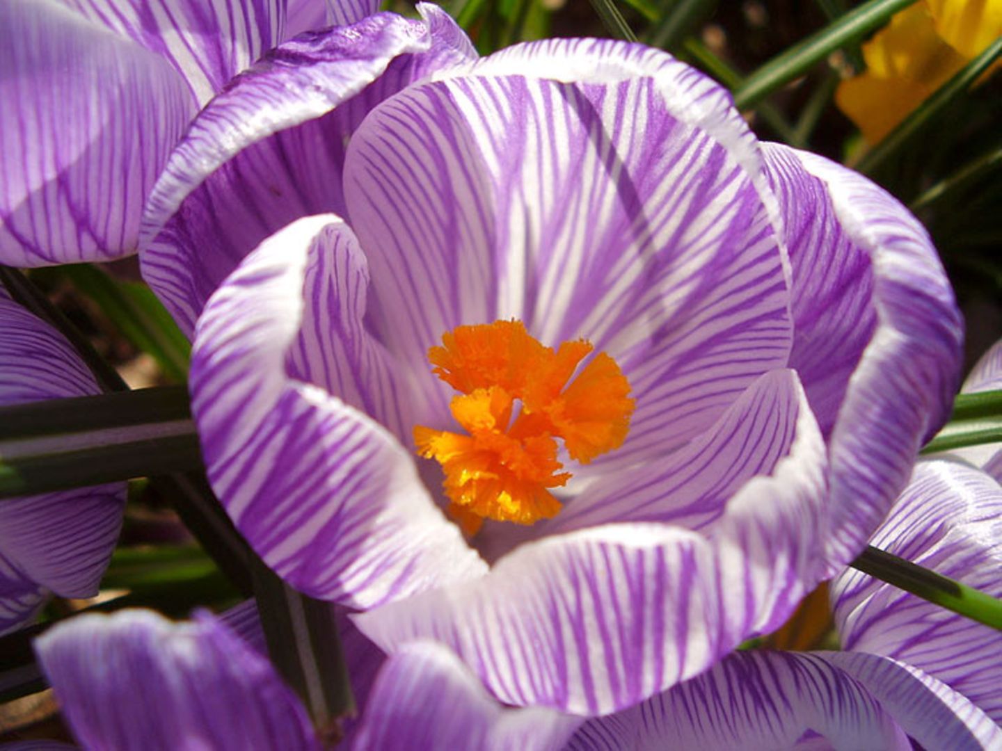 Euer Foto der Woche! - Bild 7