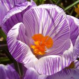 Euer Foto der Woche! - Bild 7