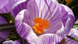 Euer Foto der Woche! - Bild 7